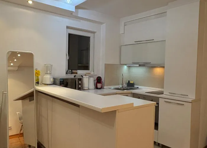 Sasha 3 - Free Parking Belgrád